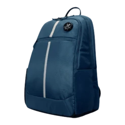 Arctic Fox Chrome Polyester Laptop Backpack For 15 Inch Laptop (27 L, Water Repellent, Deep Dive) -Smart Bag Shop 235431 15 inlgiu