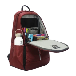 Arctic Fox Chrome Polyester Laptop Backpack For 15.6 Inch Laptop (27 L, Water Repellent, Tawny Port) -Smart Bag Shop 235433 4 ju1jd6