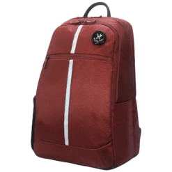 Arctic Fox Chrome Polyester Laptop Backpack For 15.6 Inch Laptop (27 L, Water Repellent, Tawny Port) -Smart Bag Shop 235433 6 jswvey