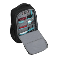 Carlton Dorset 04 Polyester Laptop Backpack For 16 Inch Laptop (24 L, With Rain Cover, Midnight Black) -Smart Bag Shop 237960 4 oyprq5