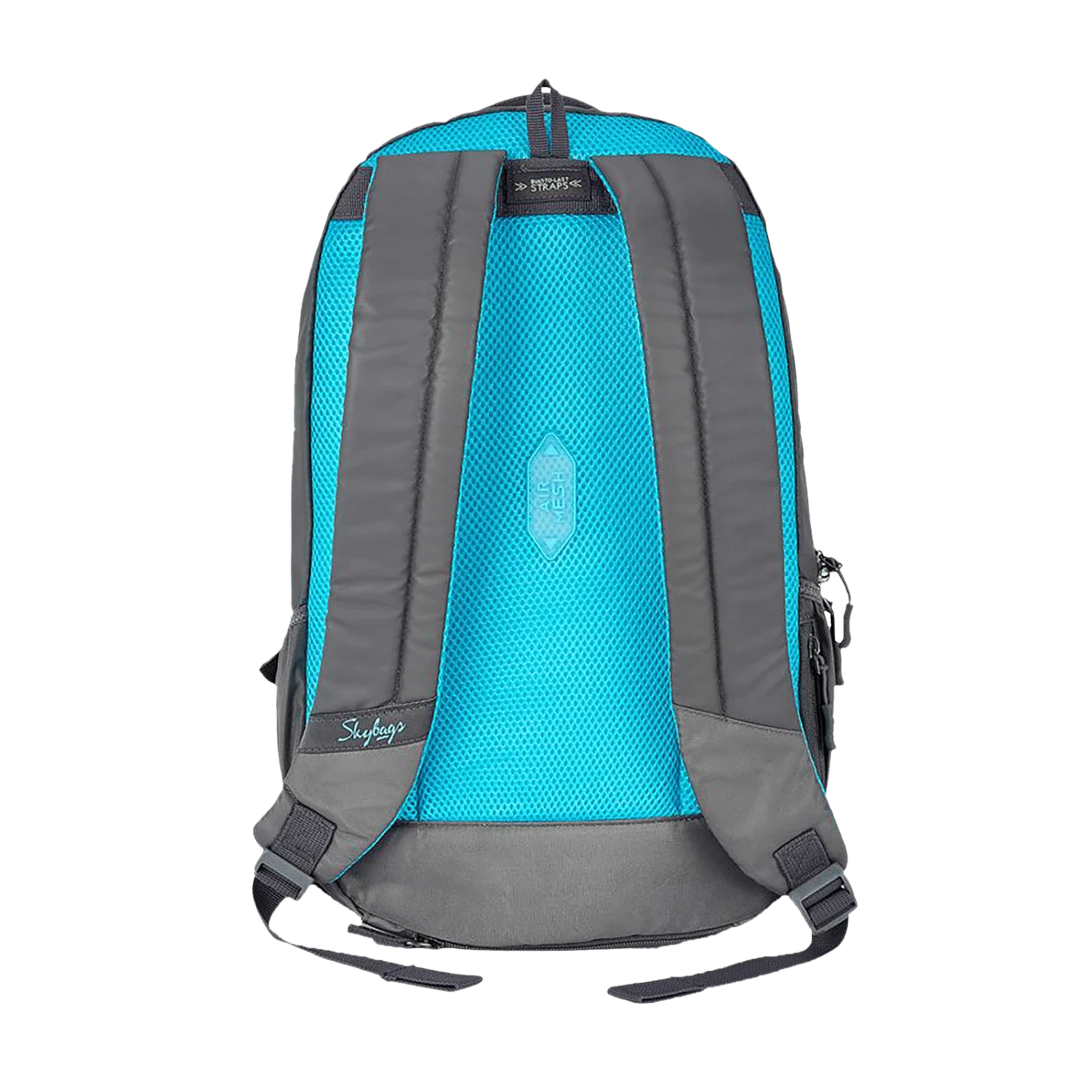 Skybags Campus 01 Polyester Laptop Backpack For 15.6 Inch Laptop (30 L, With Rain Cover, Grey) 6 Skybags Campus 01 Polyester Laptop Backpack For 15.6 Inch Laptop (30 L, With Rain Cover, Grey) - Image 4