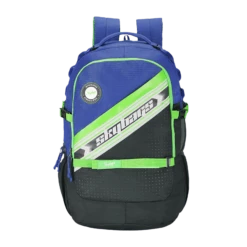 Skybags Campus Plus XL 05 Polyester Laptop Backpack For 17 Inch Laptop (33 L, With Rain Cover, Black)