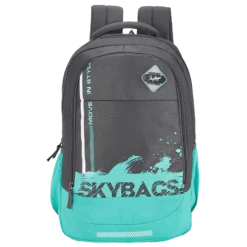 Sky Bags BFF 3 28 Litres Gucci Fabric Backpack (Built To Last Straps, BPBFF3GRY, Grey)