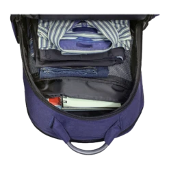 Carriall Minikin Polyester Laptop Backpack For 15.6 Inch Laptop (29.6 L, USB Charging Port, Blue) -Smart Bag Shop 241835 19 dnciu2