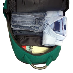 Carriall Minikin Polyester Laptop Backpack For 15.6 Inch Laptop (29.6 L, USB Charging Port, Green) -Smart Bag Shop 241838 13 cxg2qu