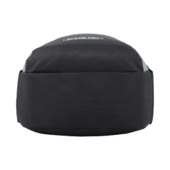 Arctic Fox Pump Polyester Laptop Backpack For 15.5 Inch Laptop (29 L, Water Repellent Fabric, Sea Spray) -Smart Bag Shop 268890 19 slhb2i