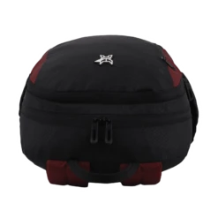 Arctic Fox Pump Polyester Laptop Backpack For 15.5 Inch Laptop (29 L, Water Repellent Fabric, Tawny Port) -Smart Bag Shop 268891 14 mcqbkw