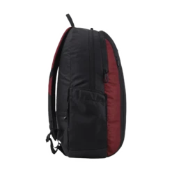 Arctic Fox Pump Polyester Laptop Backpack For 15.5 Inch Laptop (29 L, Water Repellent Fabric, Tawny Port) -Smart Bag Shop 268891 17 drzgfi