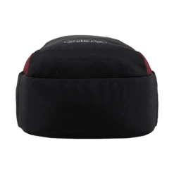 Arctic Fox Pump Polyester Laptop Backpack For 15.5 Inch Laptop (29 L, Water Repellent Fabric, Tawny Port) -Smart Bag Shop 268891 19 iqazg9