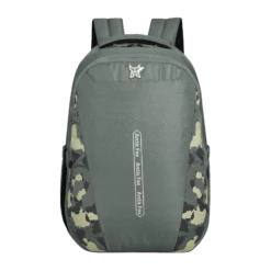 Arctic Fox Dare 38 Litres Fabric Backpack (Rain Cover, FTEBPKOLVWW056038, Sea Spray)