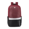 Arctic Fox Merit 44 Litres Polyester Backpack (FTEBPKTPOWW062044, Tawny Port) -Smart Bag Shop 268900 0 itpeux
