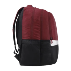 Arctic Fox Merit 44 Litres Polyester Backpack (FTEBPKTPOWW062044, Tawny Port) -Smart Bag Shop 268900 15 remvhc