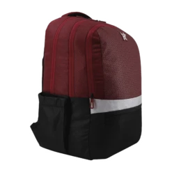 Arctic Fox Merit 44 Litres Polyester Backpack (FTEBPKTPOWW062044, Tawny Port) -Smart Bag Shop 268900 16 exlwvb